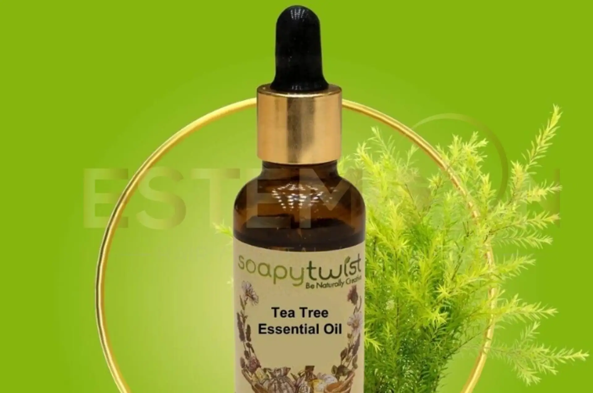 Tea Tree Oil for Lice Top Essential Oils Guide