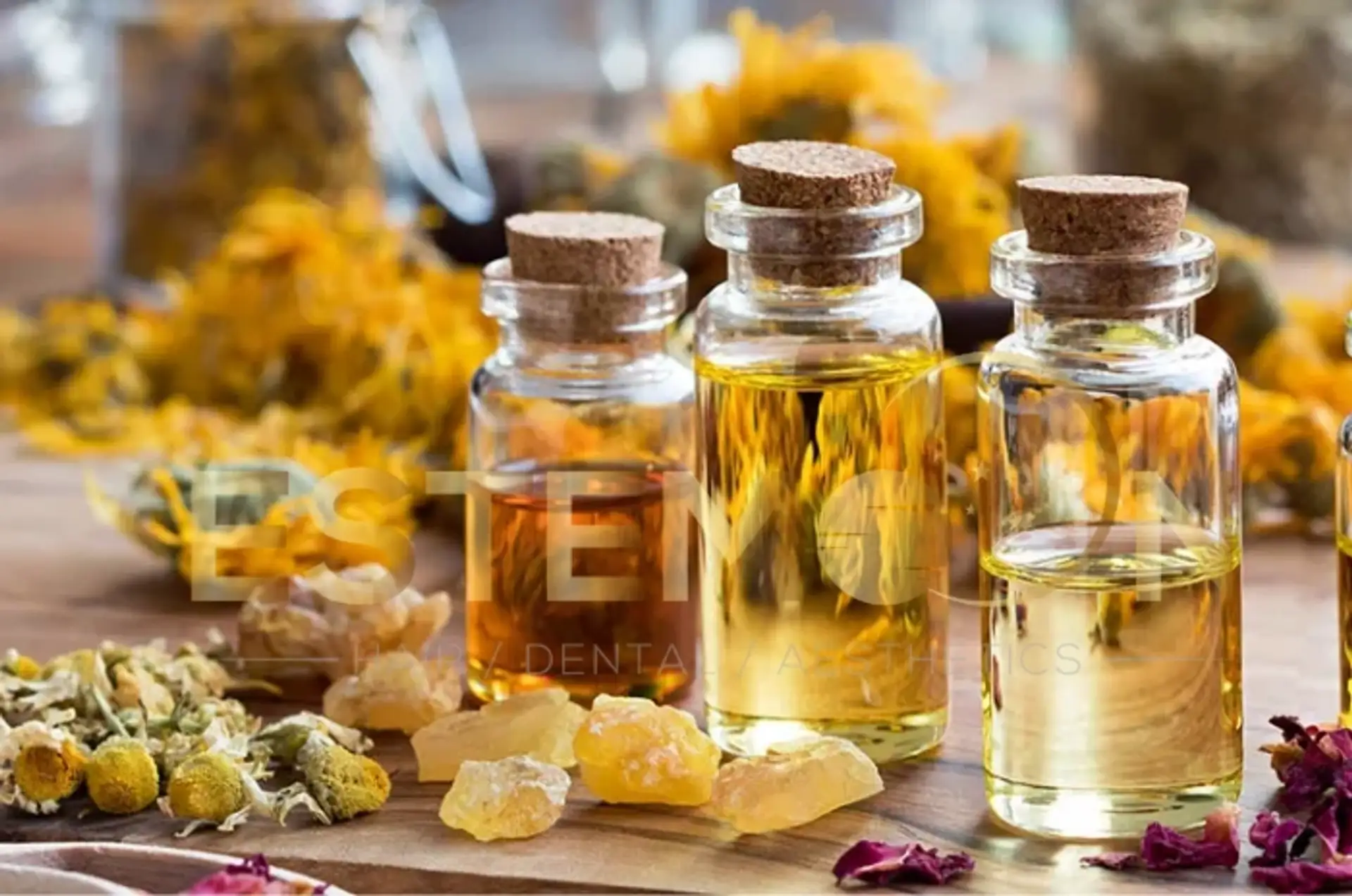 The 6 Best Oils for Healthy Hair and How to Use Them Effectively
