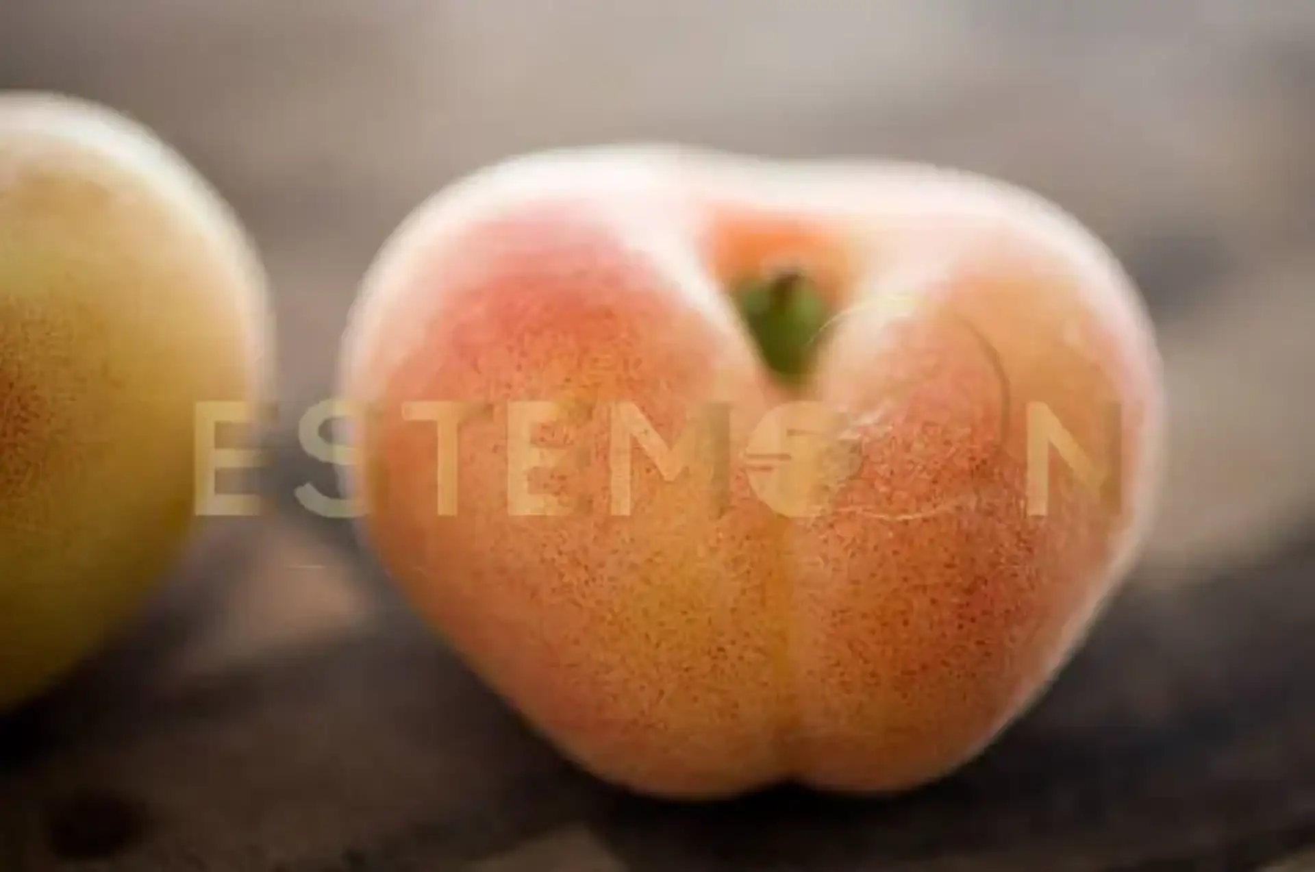 Vellus Hair Guide Understanding Peach Fuzz and Removal