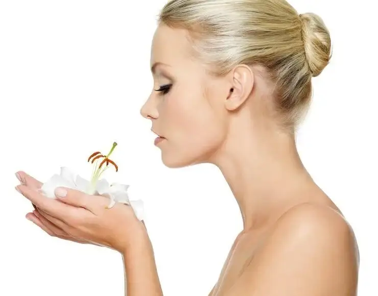 important-informations-about-rhinoplasty-740x580