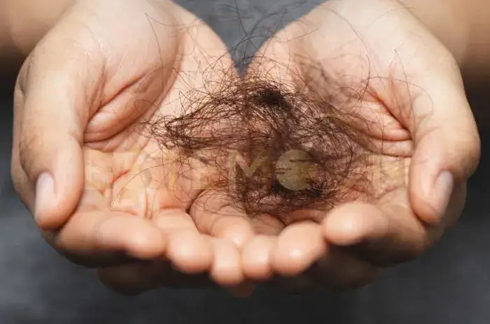 Diffuse Thinning Treatments and Prevention Tips Explained