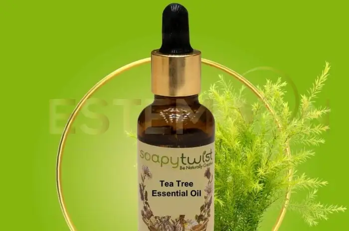 Tea Tree Oil for Lice Top Essential Oils Guide