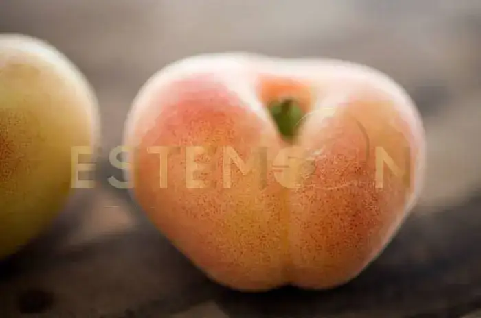 Vellus Hair Guide Understanding Peach Fuzz and Removal