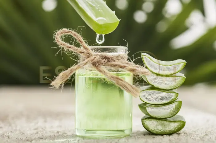 Best Ways to Use Aloe Vera for Hair Growth and Health