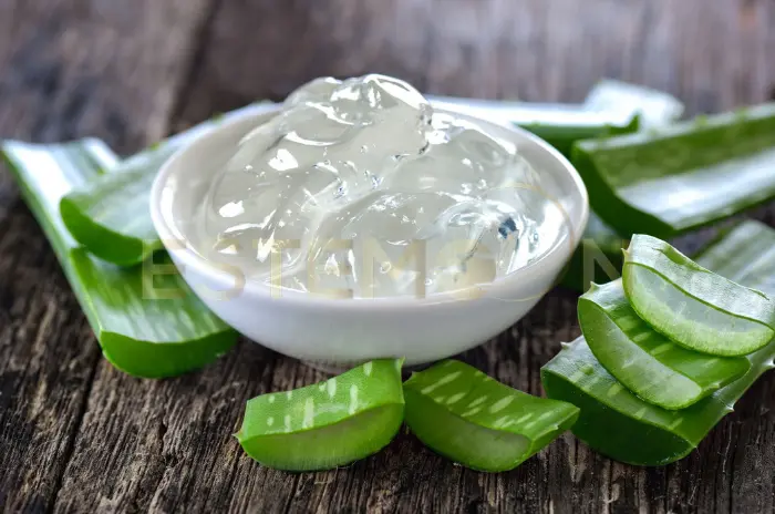 Best Ways to Use Aloe Vera