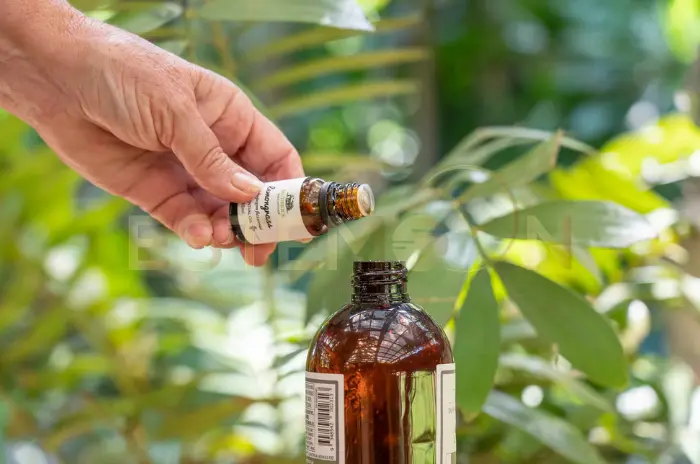 Essential Oils for Hair Health and Growth