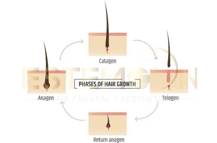 hair shedding vs hair loss